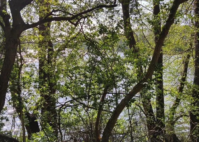 Modernes Wohnen Am דירה *